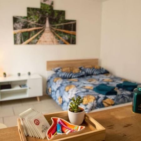 Studio Cosy Tv Wifi Confortable Et Chaleureux Gaillon المظهر الخارجي الصورة